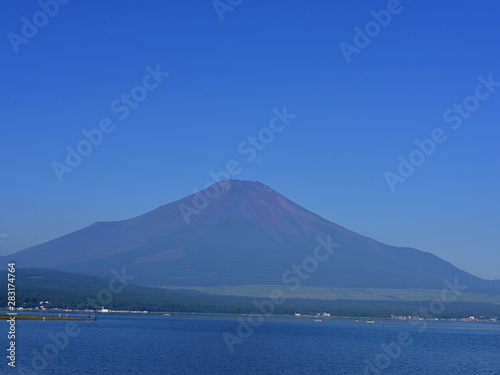 Mt.Fuji from the banks of Lake Yamanaka