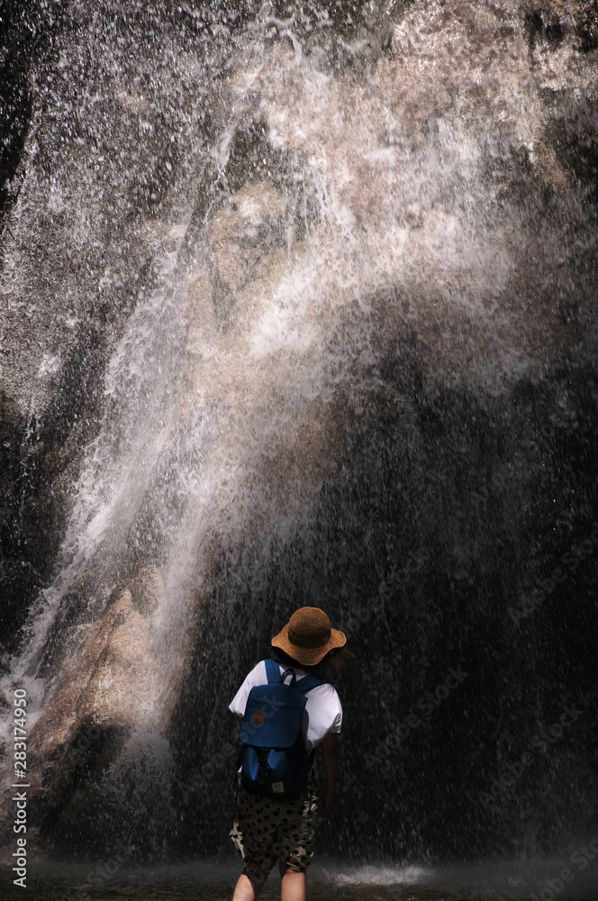 Obraz premium 寿老の滝