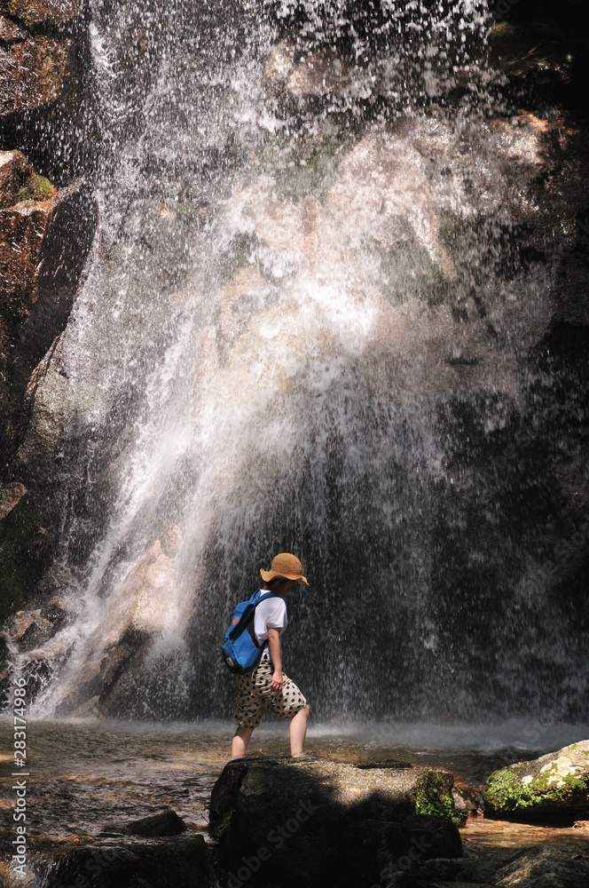 Obraz premium 寿老の滝