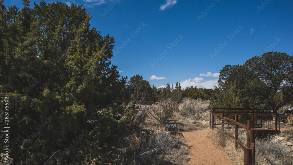 Fototapeta premium Ogród botaniczny Santa Fe, Nowy Meksyk, USA