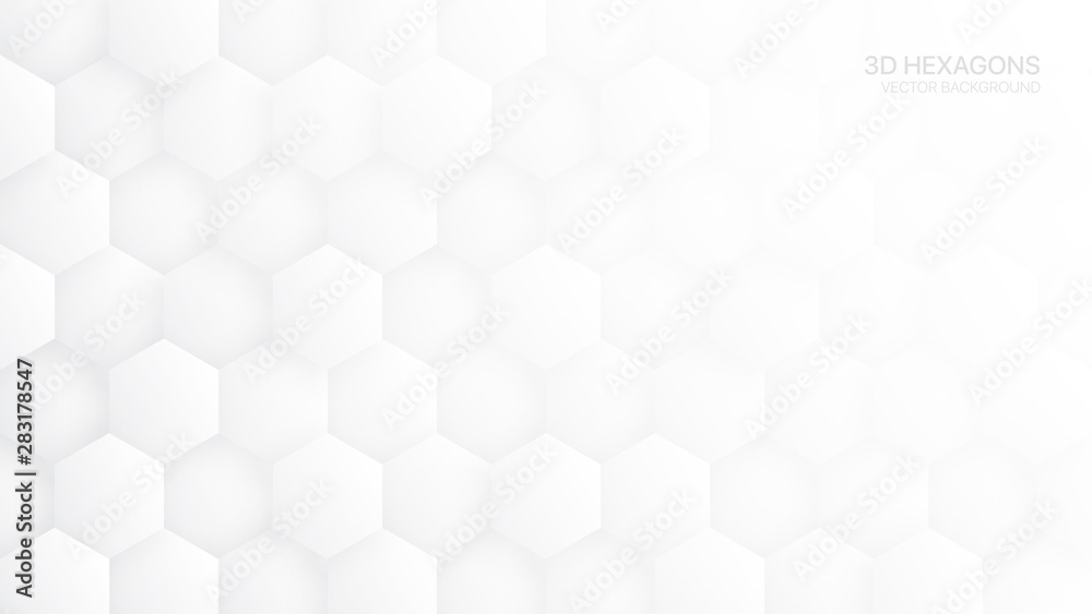 Fototapeta 3D Vector Hexagon Pattern White Abstract Technologic Background. Tech Scientific Concept Hexagonal Blocks Structure Light Wide Wallpaper. Clear Blank Subtle Textured Banner Backdrop