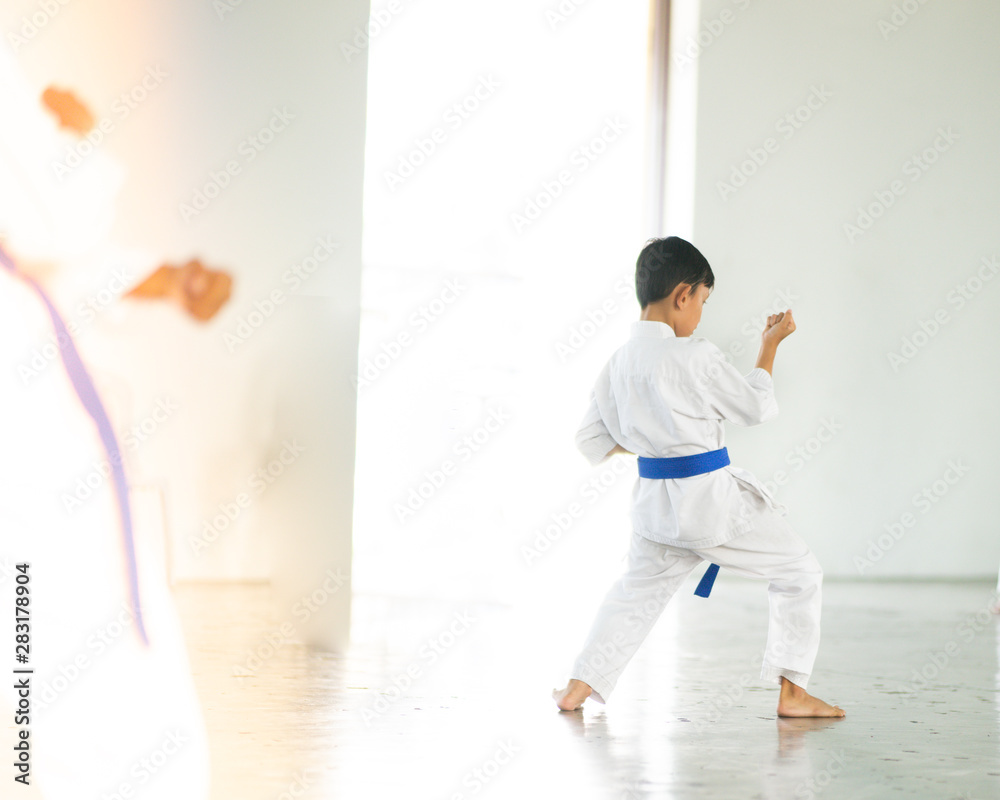 Young boy in blue belt training karate. Young boy in blue belt training karate.