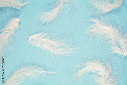 Gentle soft white feathers pattern over pastel background © netrun78