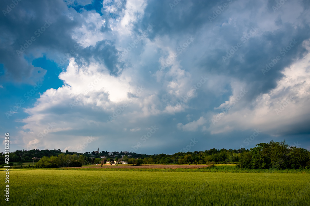Storm in the fields of Friuli Venezia-Giulia Storm in the fields of Friuli Venezia-Giulia