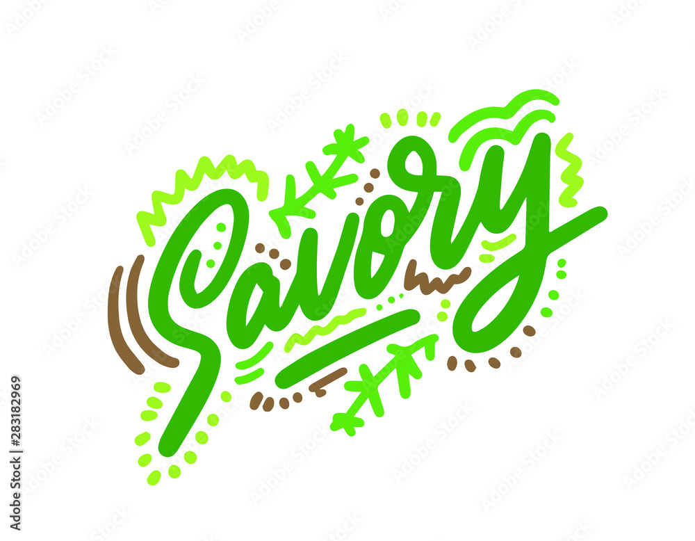 Fototapeta premium Savory vector illustration.Vector set of element for advertising, packaging design of products.