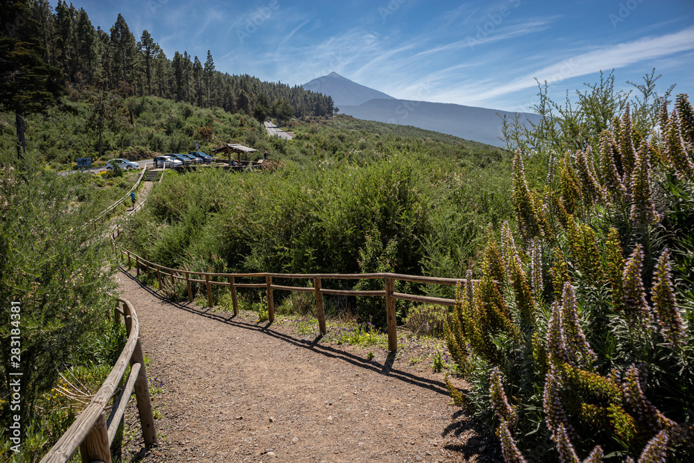 Fototapeta premium Ausblick zum Teide