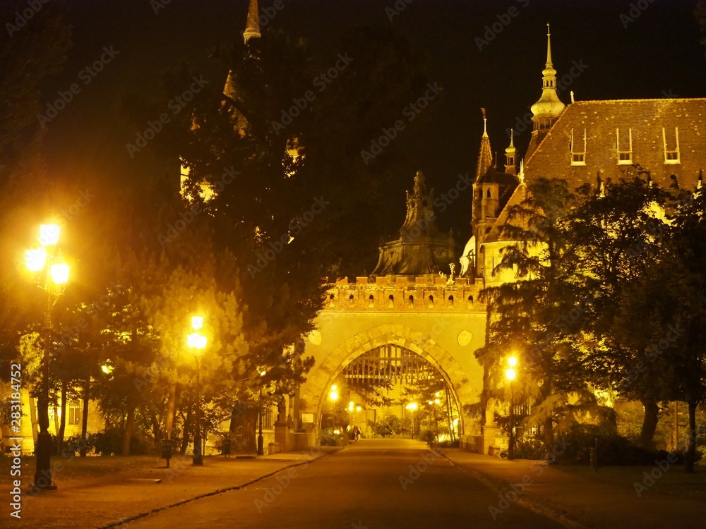 Fototapeta premium OLYMPUS DIGITAL CAMERA