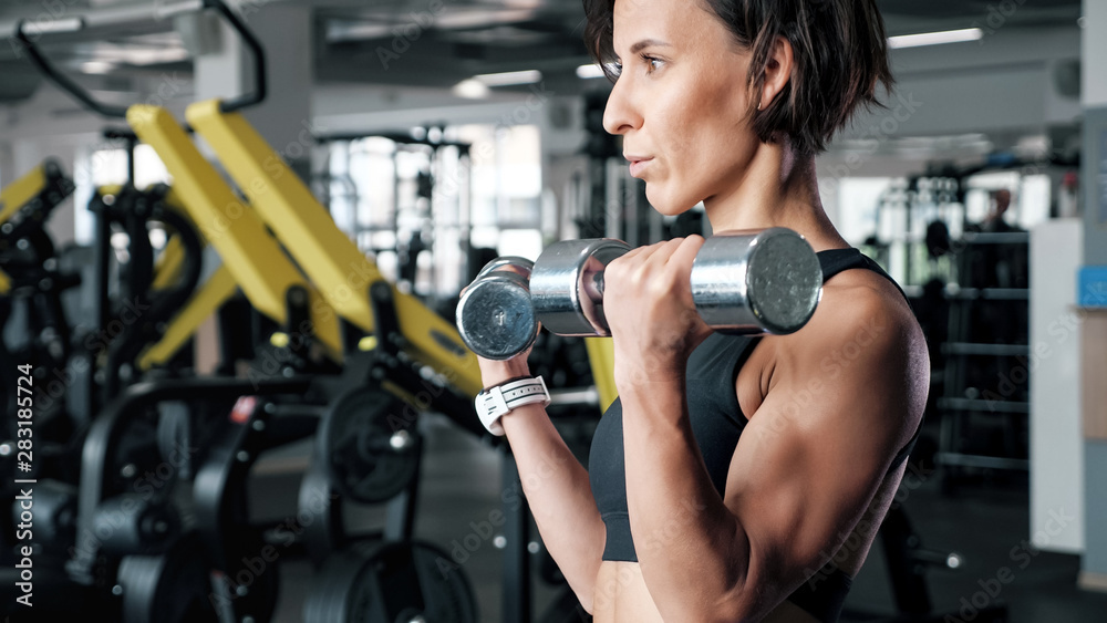 Fototapeta premium Portrait of athletic mature woman is making set of reps exercise for biceps with dumbbells in hands in gym. She is lifting dumbbells. Training and sport concept.