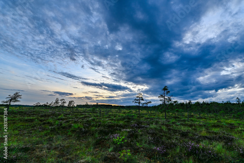 dusk over a big bog near Storfors Sweden