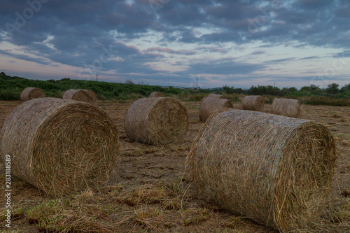 Freshly cut hay bales in a field at dusk, rural Ireland