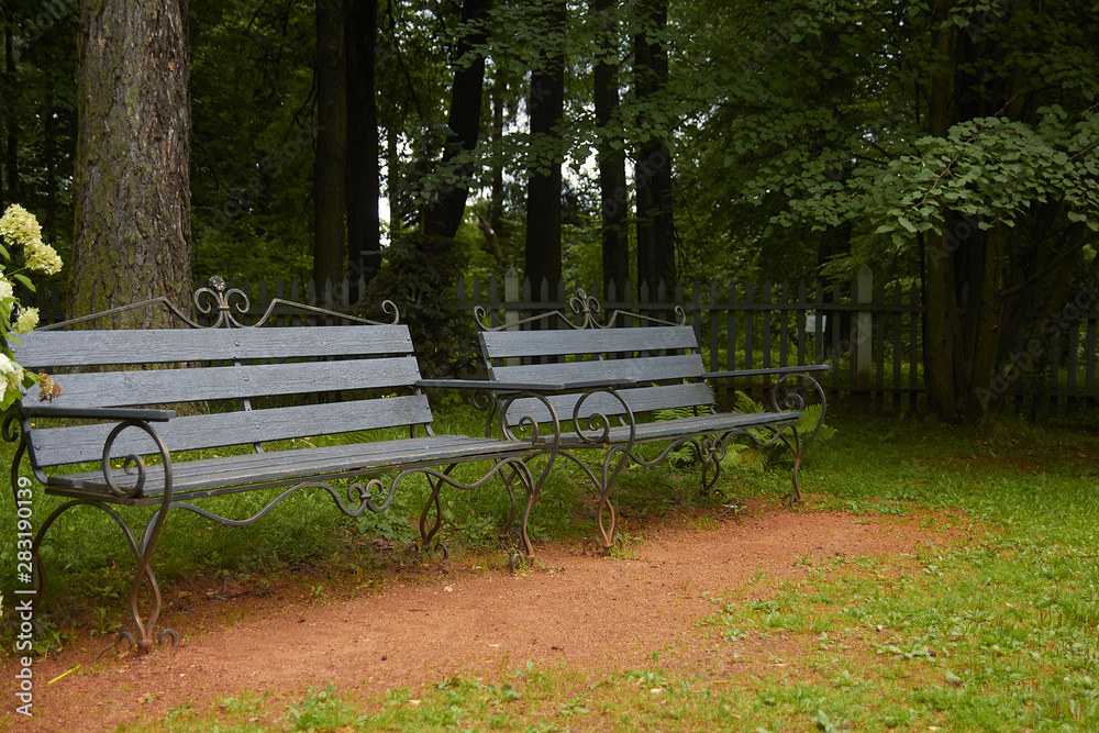 Old wooden bench in the Park. Summer-autumn.