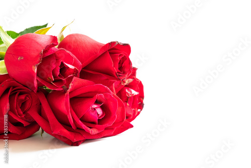 Bouquet of roses on white background