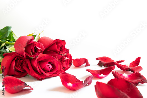 Fototapeta Naklejka Na Ścianę i Meble -  Bouquet of roses and rose petals on white background