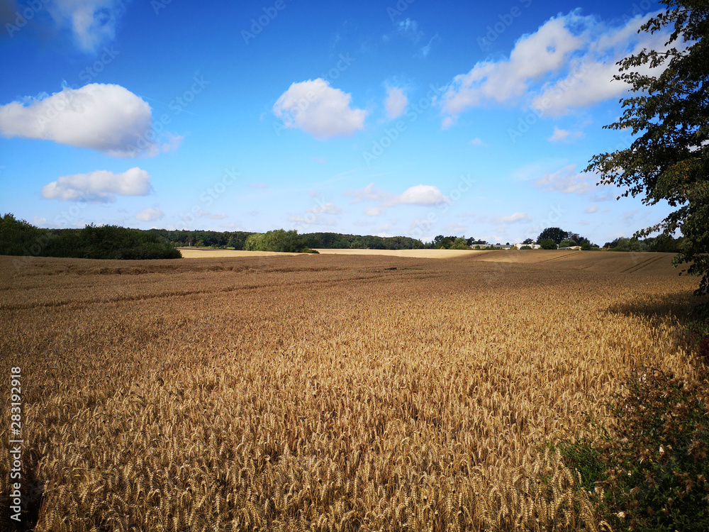 Landschaft Landschaft