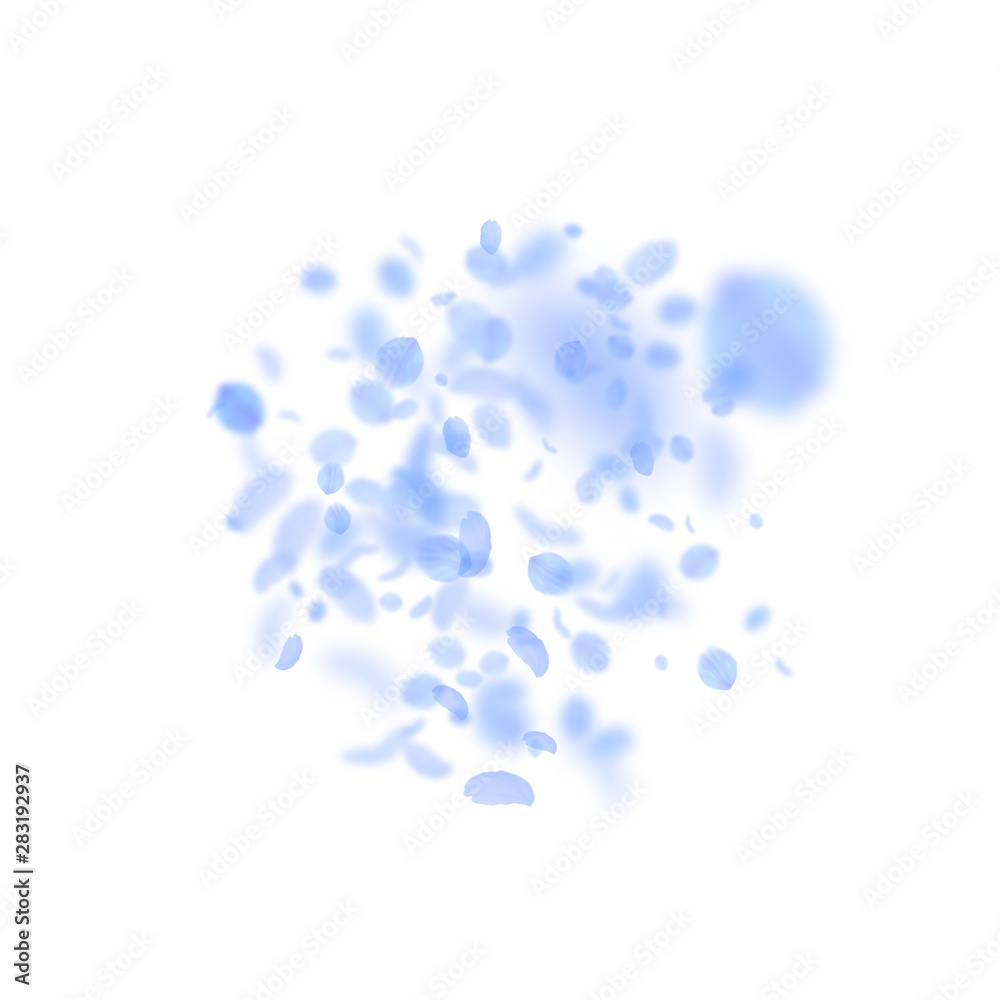 Dark blue flower petals falling down. Cute romanti Dark blue flower petals falling down. Cute romanti