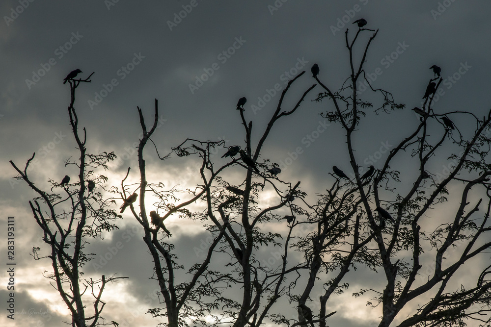 Atmosphère sombre Atmosphère sombre