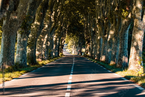 Typical road in Provence between Apt and Manosque (Provence-Alpes-Cote d'Azur, France) with rows of trees, at august