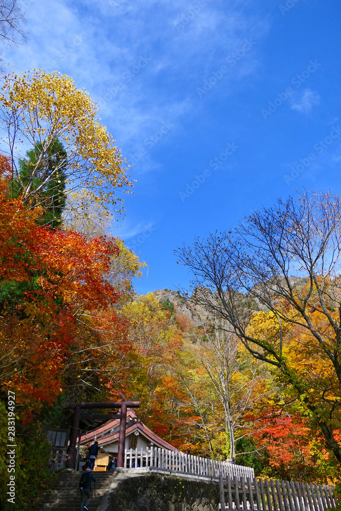 上信越国立公園。秋の戸隠神社、奥社より戸隠連峰を望む。長野　日本。１０月下旬。