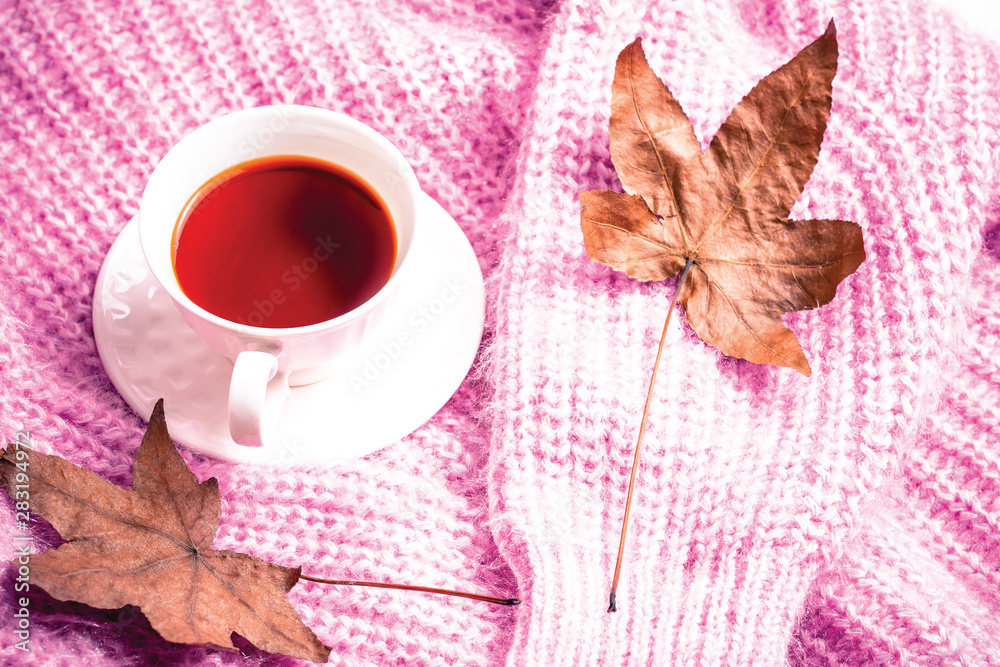 Still life details of winter pink knit sweater with tea set on white background,concept cozy in autumn or winter