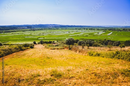 Overview of a rice planting field in Portugal on a summer day. Colourful over processed. 