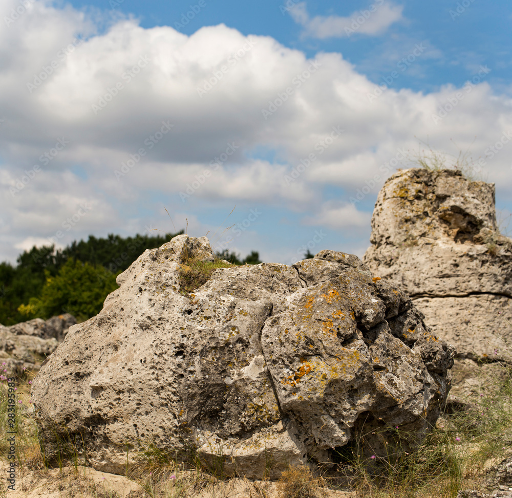 Fototapeta premium Planted stones, also known as The Stone Desert. Landforms of Varna Province. Rock formations of Bulgaria. Stone forest. 