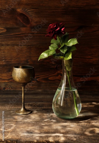 multiple subjects, daylight, with dark background