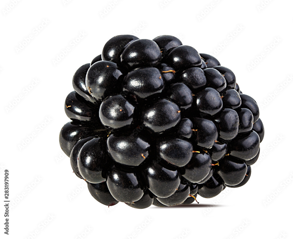 Fresh blackberry isolated on white background with clipping path Fresh blackberry isolated on white background with clipping path