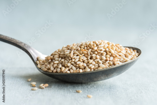 Toasted Sesame Seeds on a Vintage Spoon