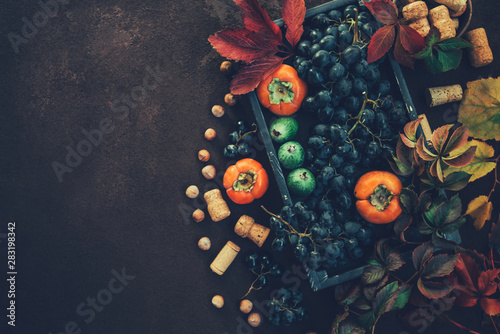 Fototapeta Zbiór winogron. Vintage drewniane pudełko z jesiennych zbiorów świeżo zebranych czarnych winogron. Dojrzałe winogrona i liście jesienią. Smaczne winogrona na tło.