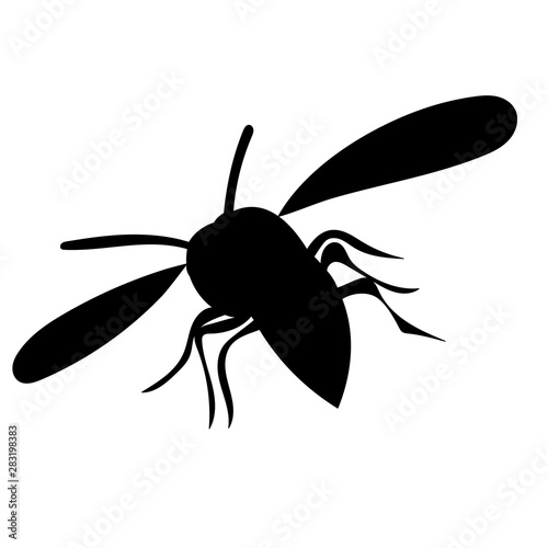 vector  isolated  insect  wasp silhouette  bee