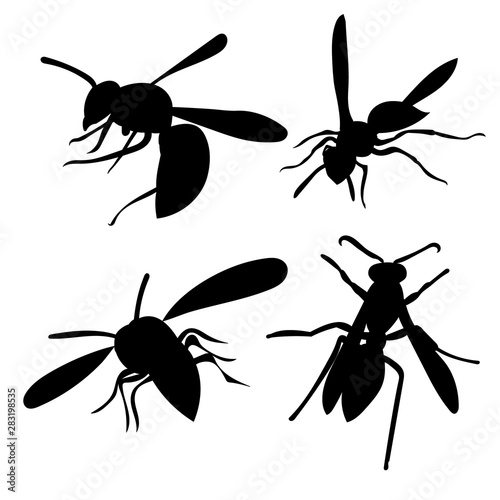 vector, isolated, insect, wasp silhouette, bee set