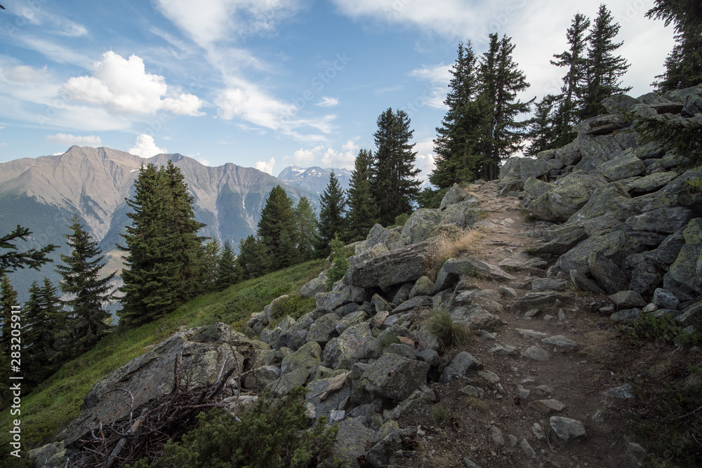 Obraz premium OLYMPUS DIGITAL CAMERA