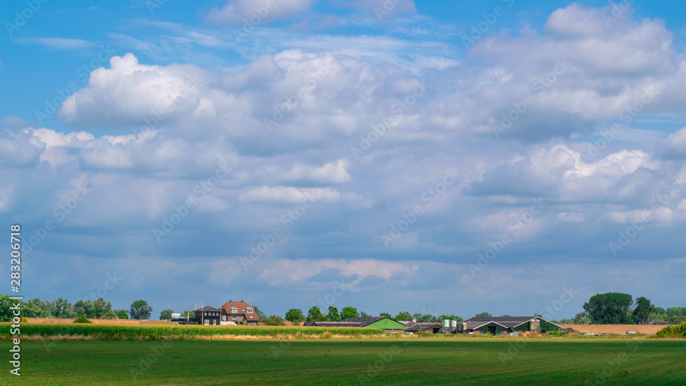 Dutch Polder Landscape