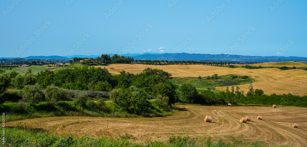 Beautiful landscape in Tuscany, Italy. Sunny fields. Agricultural area with wheat fields.