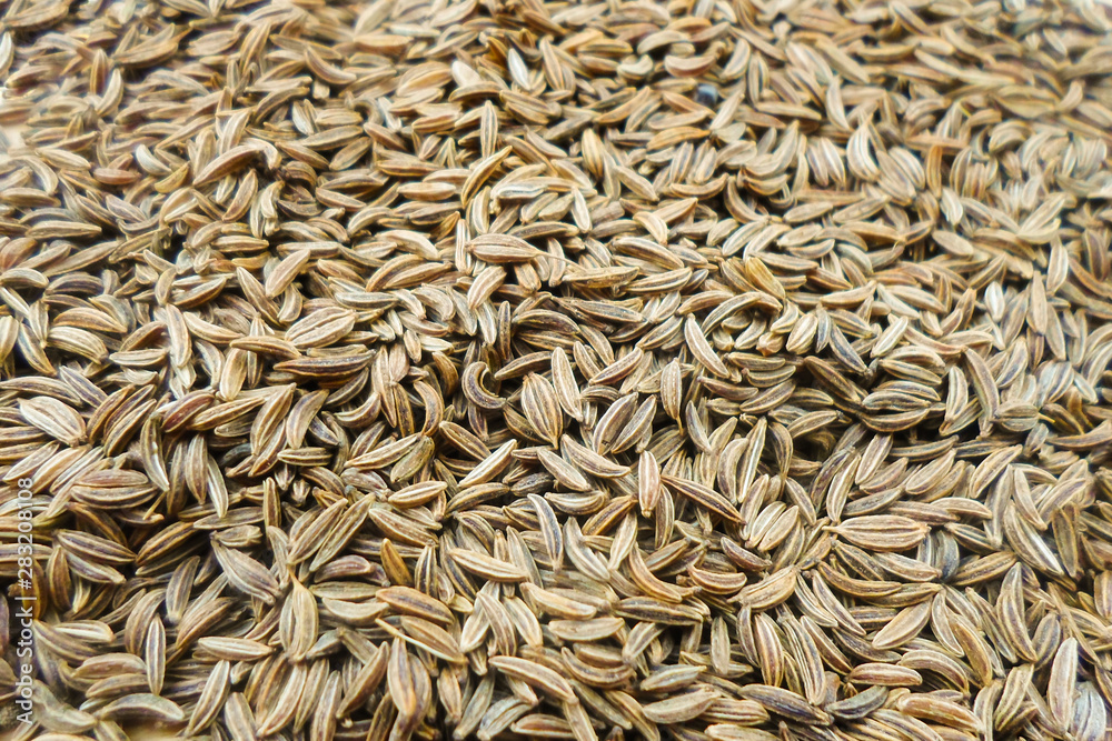 a lot of caraway seeds for background photography. a lot of caraway seeds for background photography.