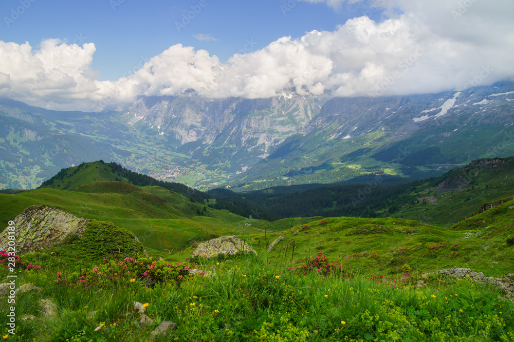 Fototapeta premium Alpine peaks landskape. Lauterbrunnen, Jungfrau, Bernese highland. Alps, tourism, journey, hiking