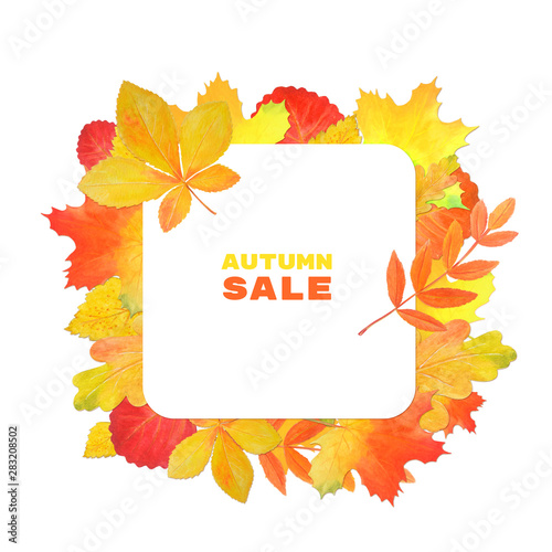 Frame for design with autumn leaves. Autumn sale. 