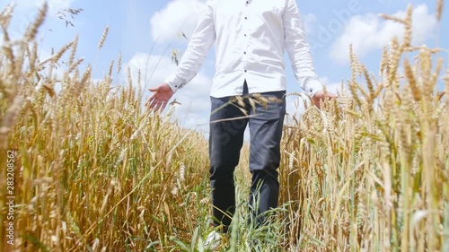 View from below of a man walking in a wheat field feeling something like a force. Concept of: Slow shooting, Lifestyle. Medium shot.