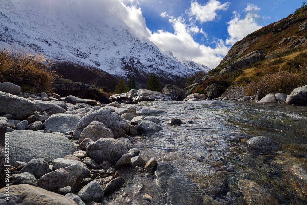 Obraz premium OLYMPUS DIGITAL CAMERA