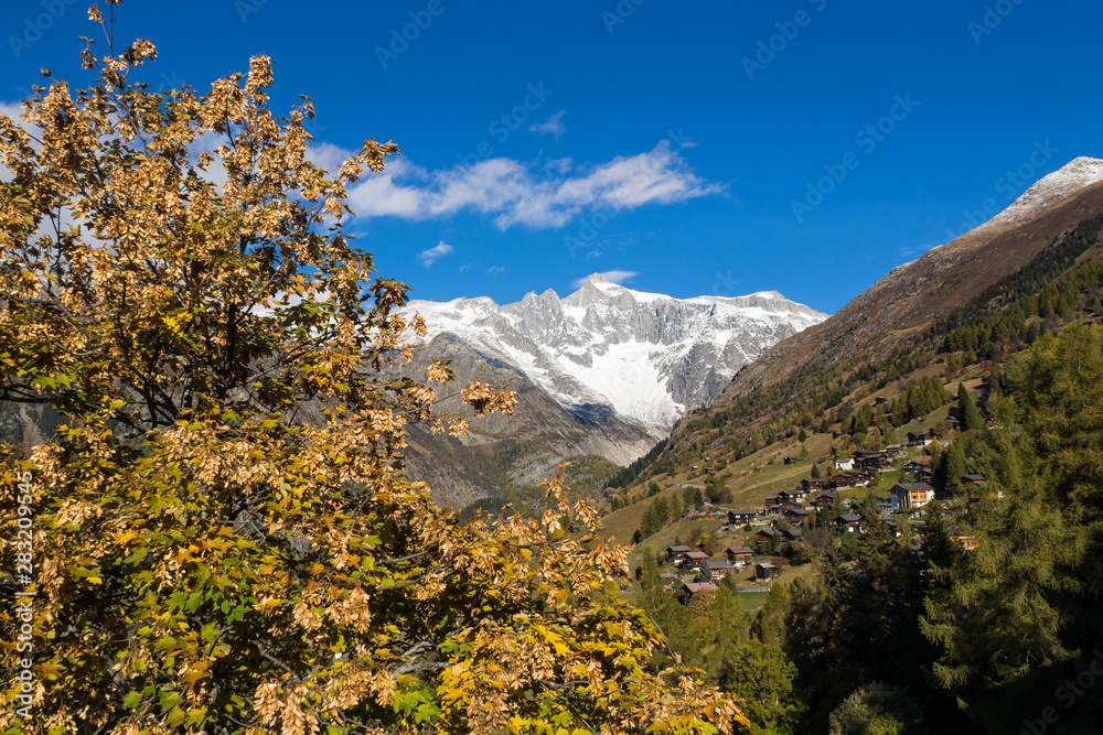 Fototapeta premium OLYMPUS DIGITAL CAMERA