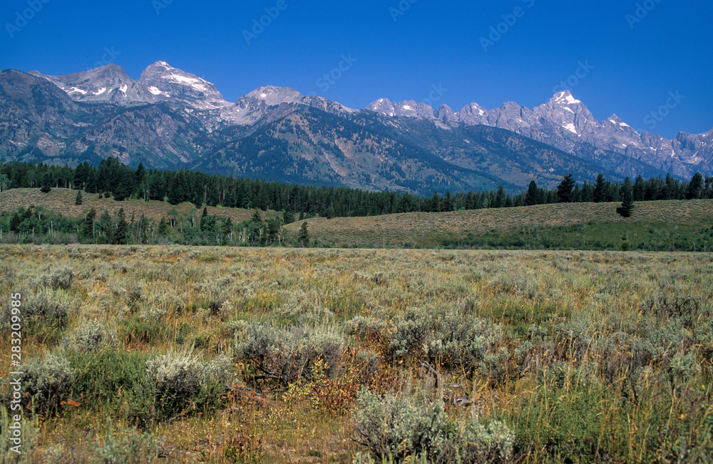 Parc national du Grand Teton, Wyoming, Etats Unis, USA