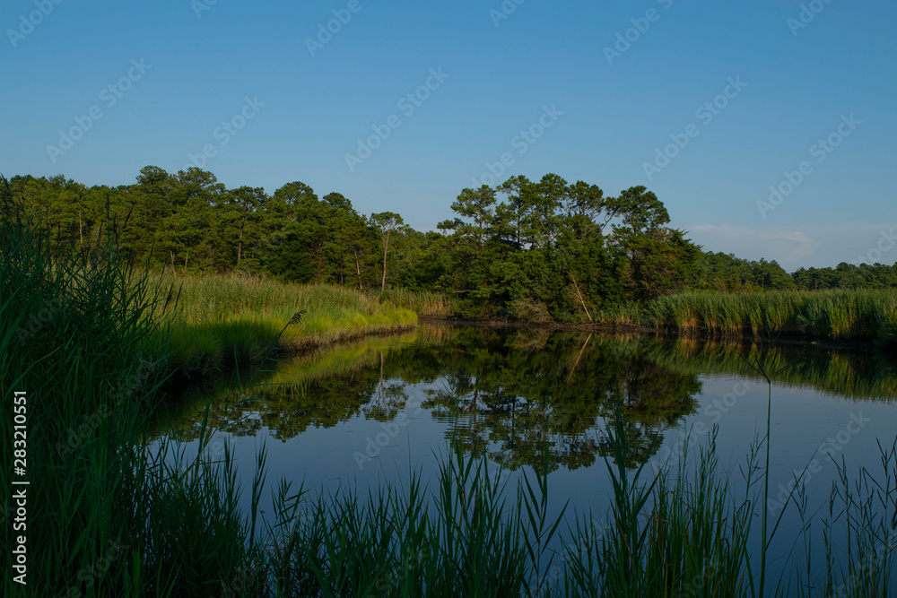 Deep Branch Reflection Deep Branch Reflection