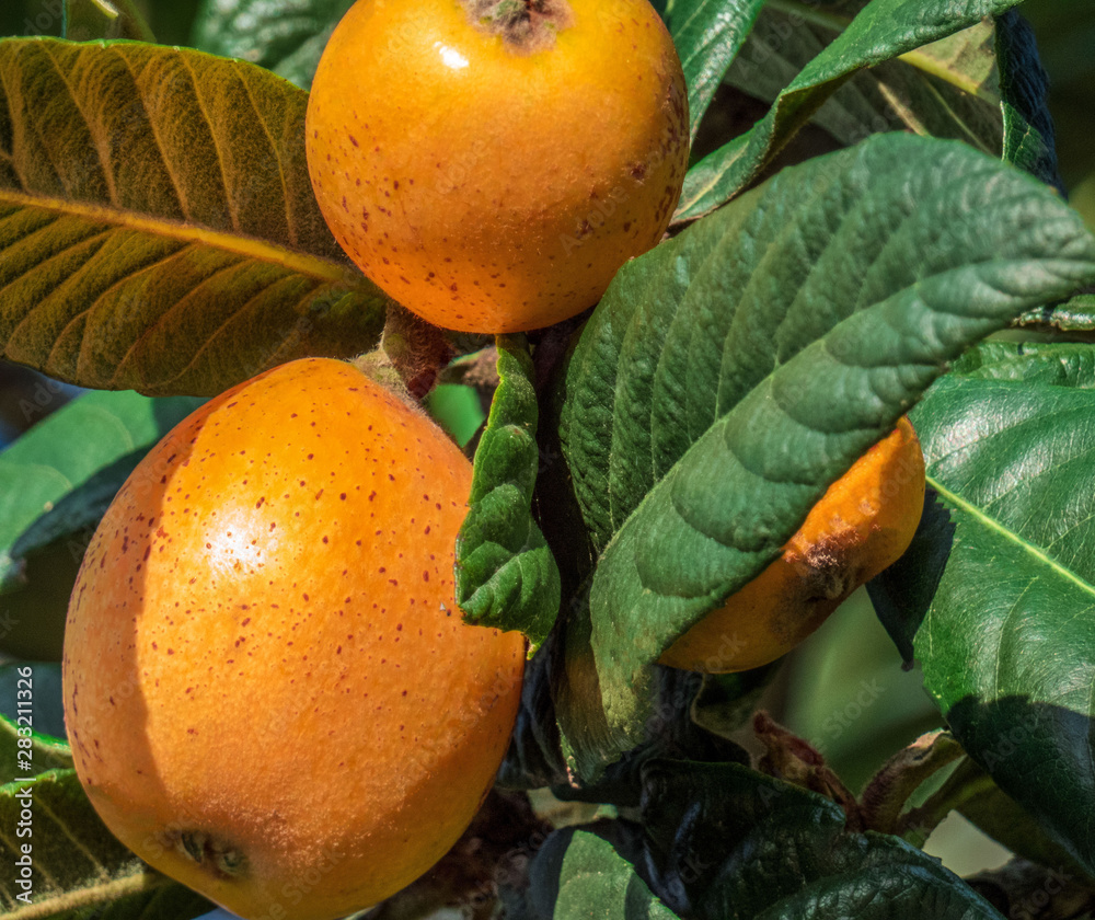 Tarjima qilingan mano bilan badiiy porno Rus porno jinsiy aloqa bilan