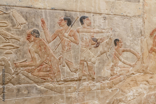 Scenes in Saqqara Necropolis, Cairo, Egypt