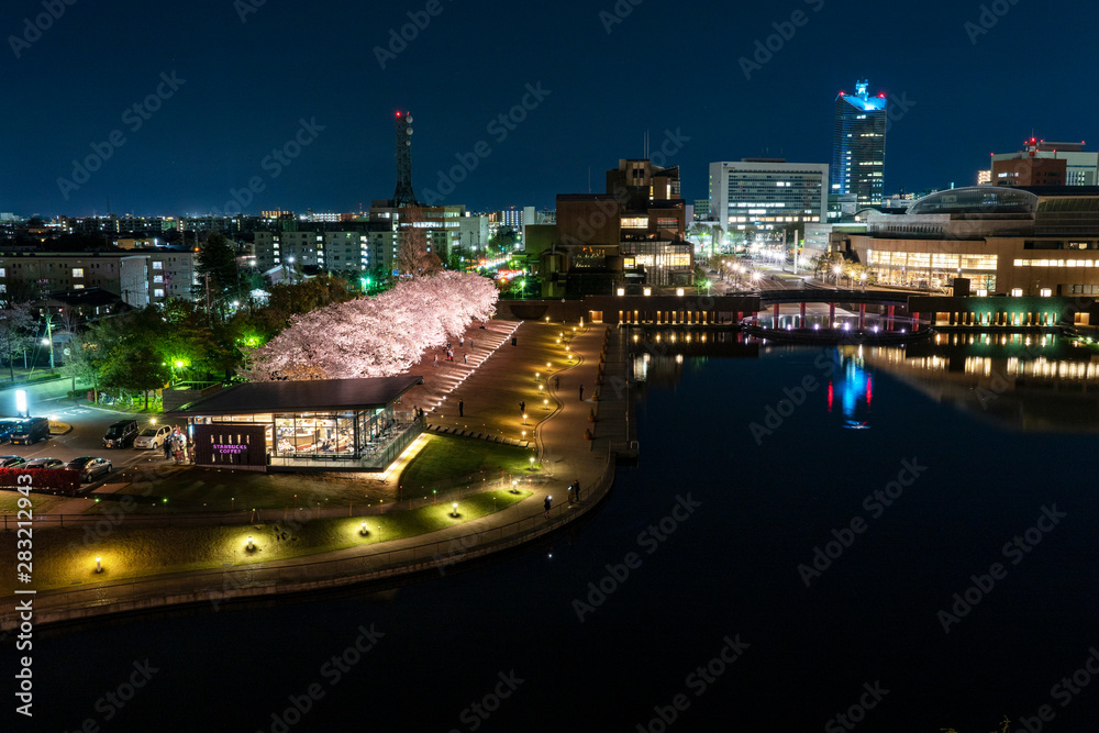 夜桜　富岩運河環水公園