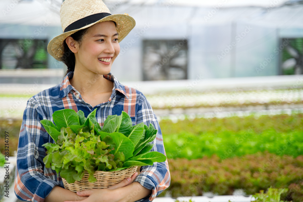 Asian young cute farmer girl holding basket of green salad vegetables walking in organic hydroponic farm with smile. She is feeling happy with her work. Good and healthy food for diet concept.
