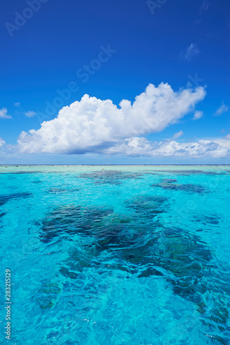 Clear water © Nobu Otsuka