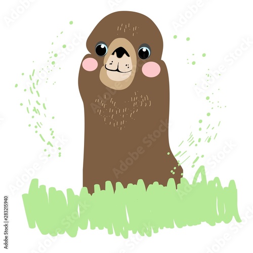 Lama, alpaca, children`s fairy-tale character, hand-drawn, vector image