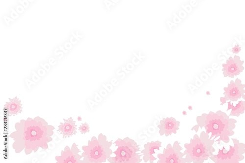 Autumn gently pink flowers, chrysanthemum, floral background, greeting card, illustration in vector