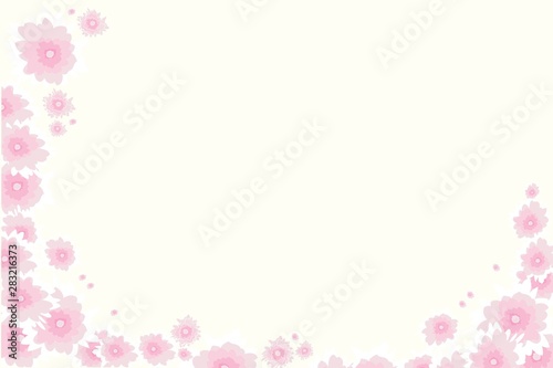 Autumn gently pink flowers, chrysanthemum, floral background, greeting card, illustration in vector